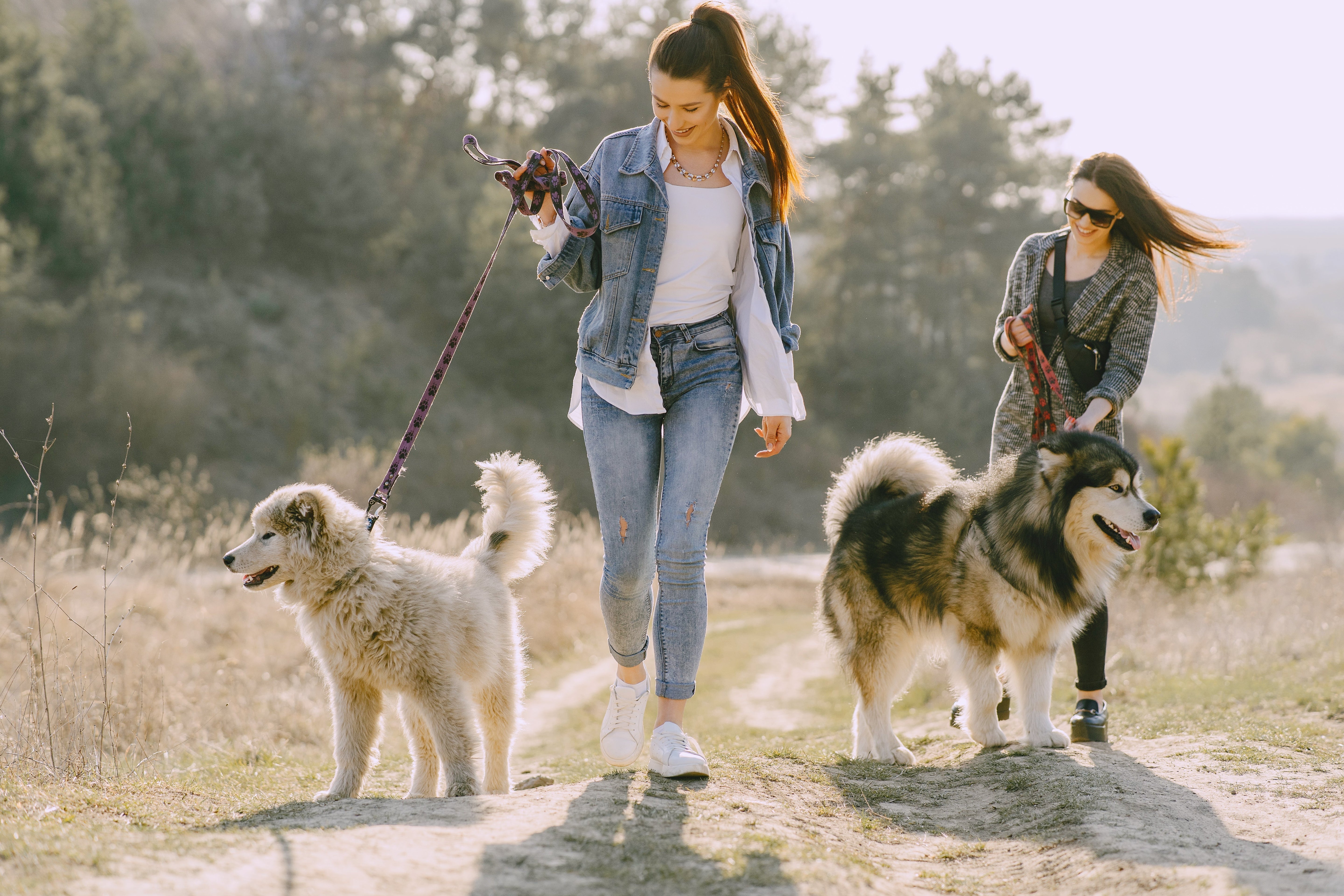 Prečo väčšina kolagénov nefunguje — a ako sa dá dosiahnuť skutočný efekt